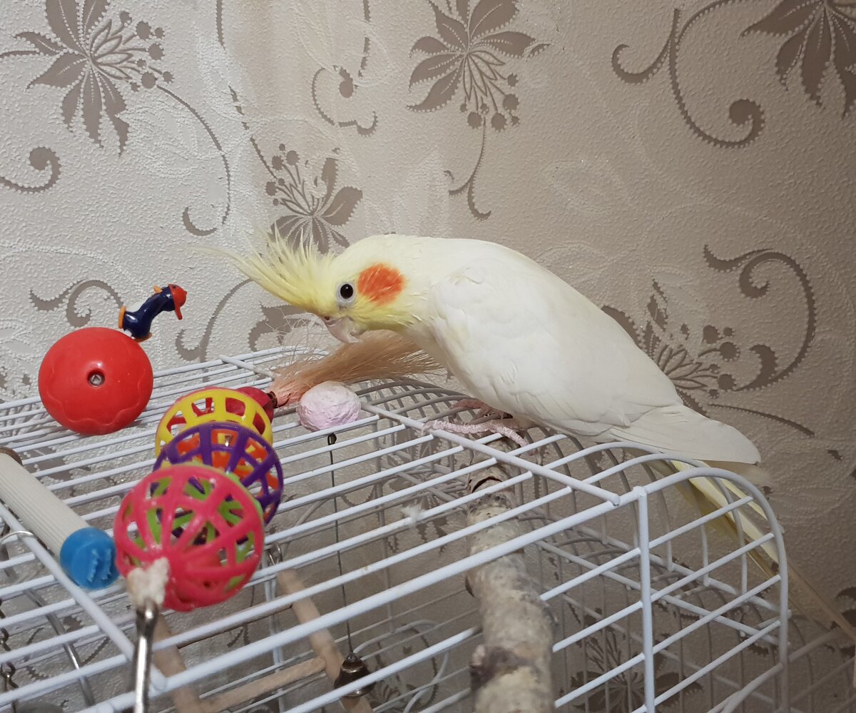 Личное фото