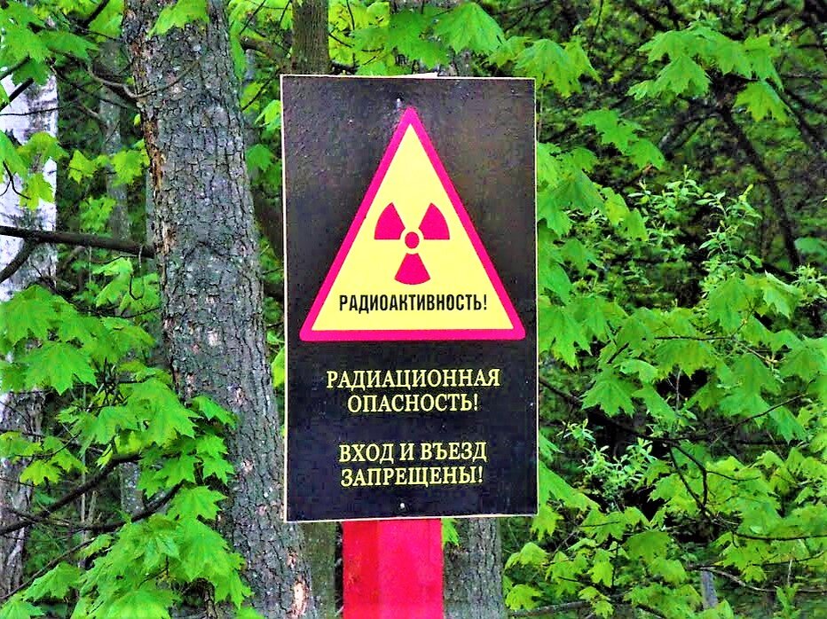 Зоны радиоактивной опасности. Зона радиационного заражения Калужской области. Радиоактивное загрязнение. Радиоактивное загрязнение леса. Радиационная опасность.