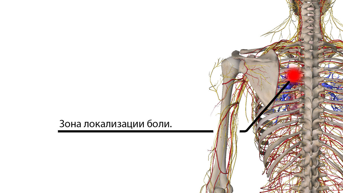 Место, которое я разминал жене для уменьшения болевых ощущений.