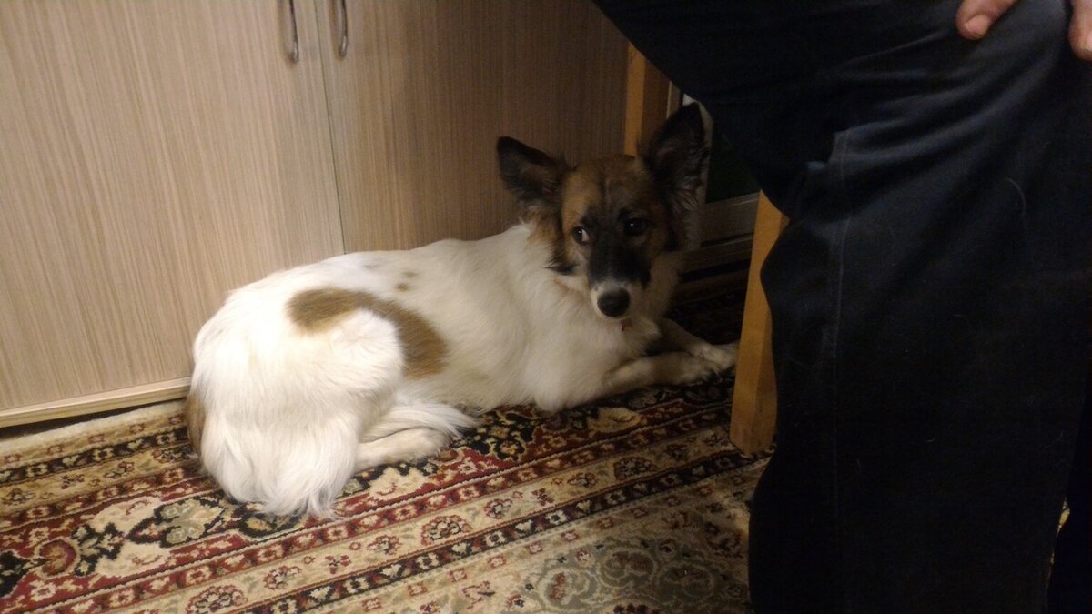 Яна первые дни дома