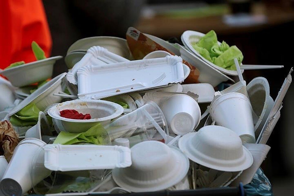 Польза и вред одноразовой пластиковой посуды и правила ее использования