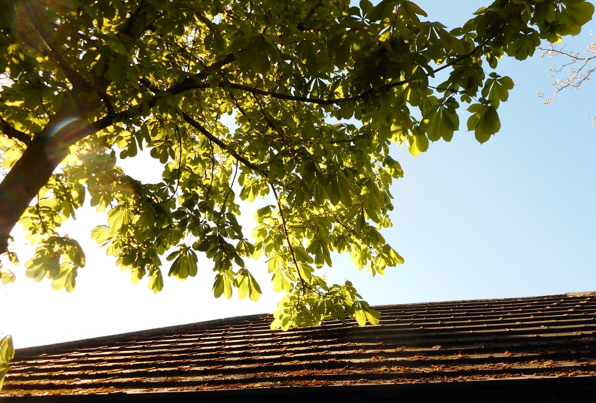 Все фото с сайта: unsplash.com