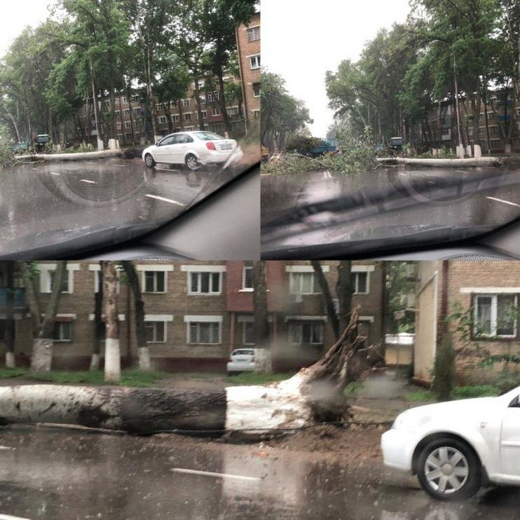 Авария возле Мирзо-Улугбекской налоговой инспекции. Фото из Telegram-канала «Водители Ташкента»