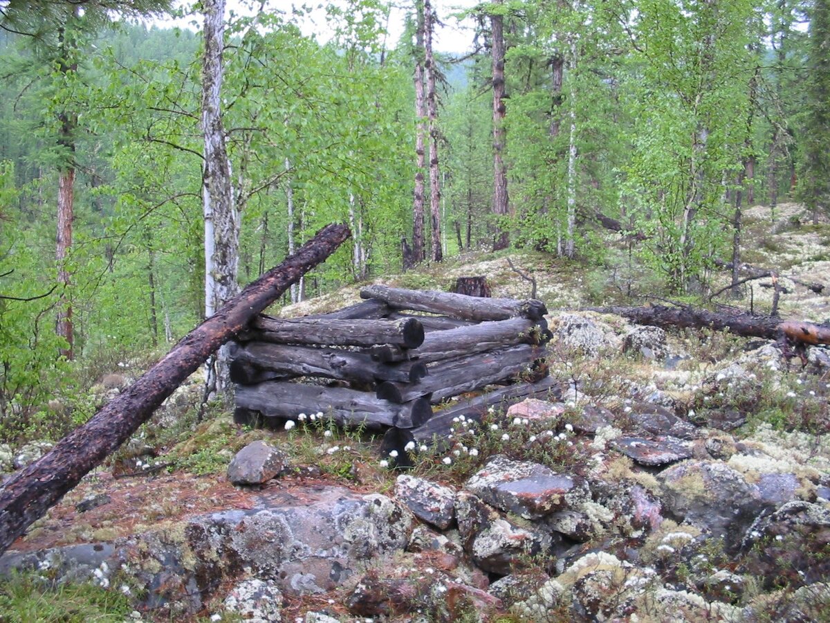 Минисруб. Размер ок. 70х70 см.