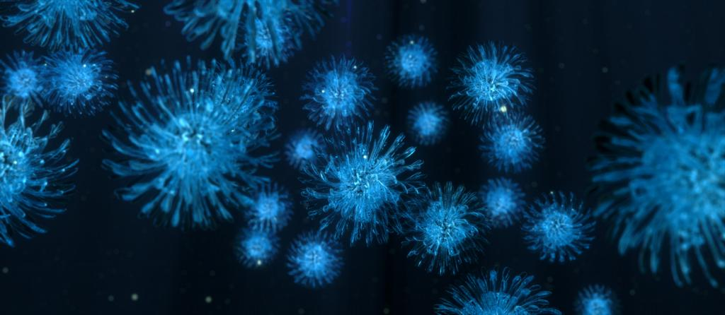 Морские вирусы