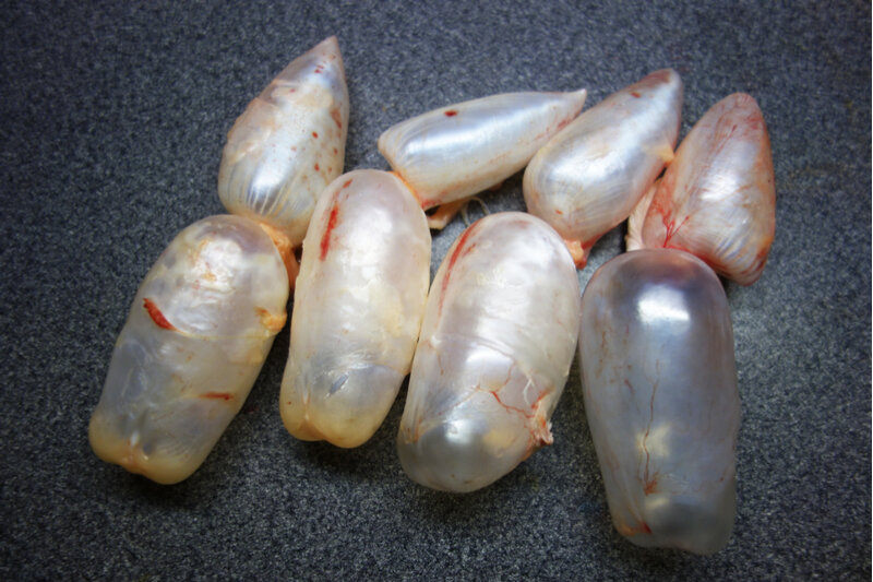 Источник фото: shutterstock.com