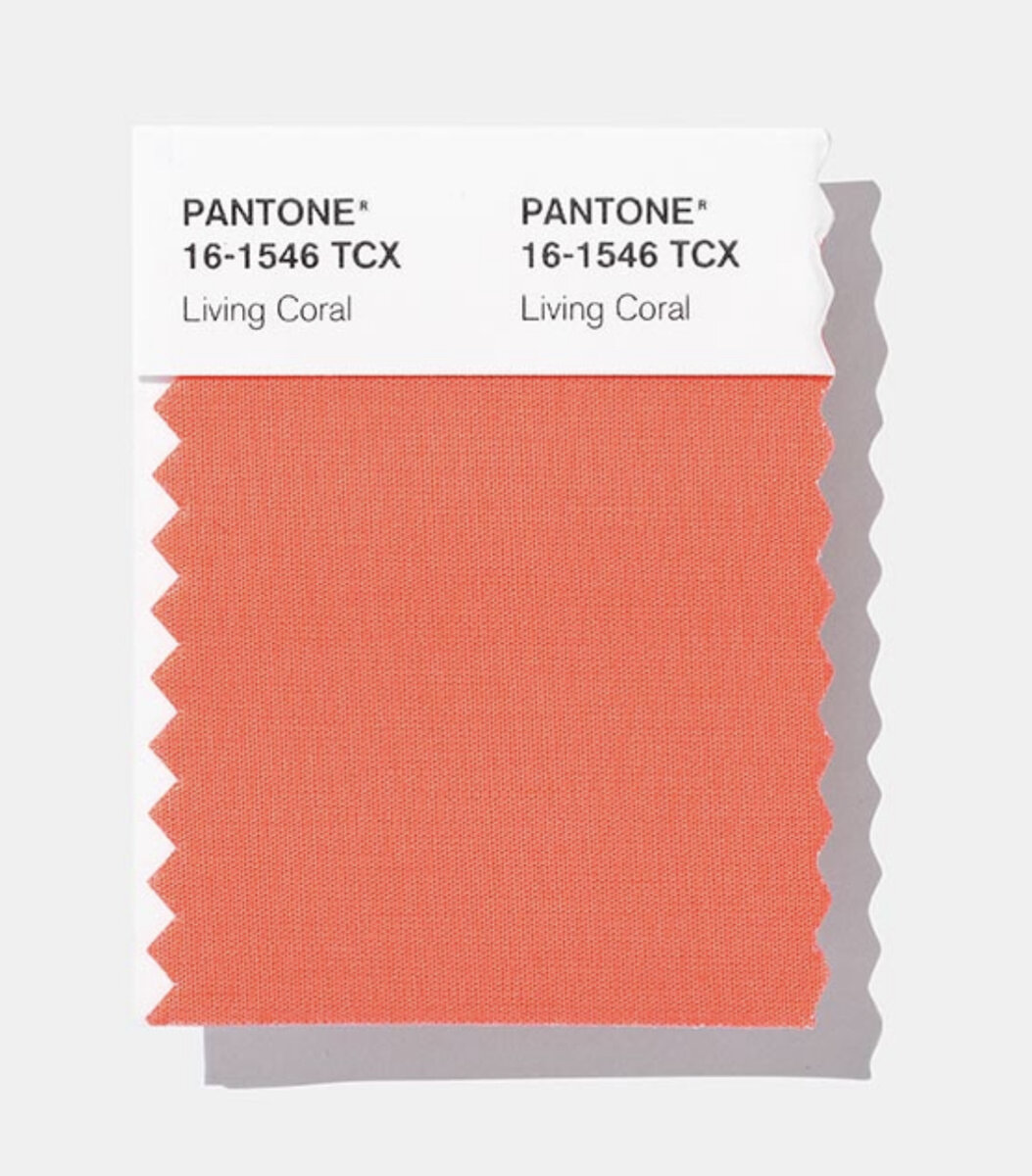 Организация PANTONE назвала цветом 2019 «Живой коралл»