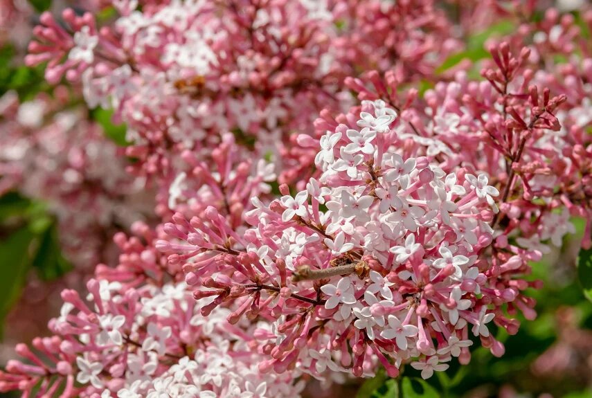  Фото: pixabay.com  