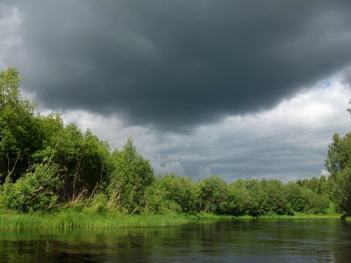 Река кулой. Кулой (река, впадает в белое море). Река Кулой Вологодская область. Кулой озеро.