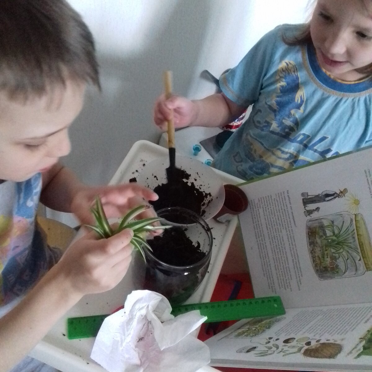 Решили сделать закрытую экосистему под руководством Финдуса и Петсона 