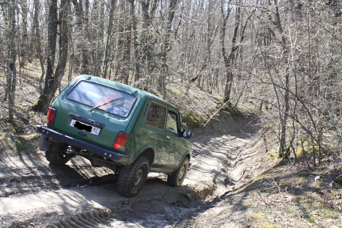 Джип-туры уничтожают лесные дороги.