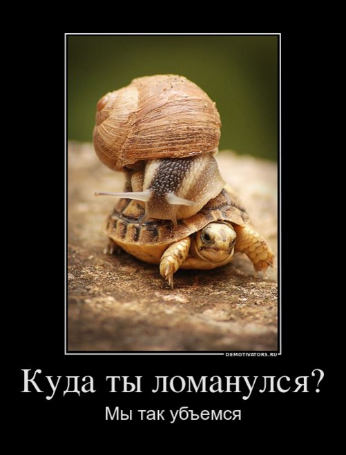 Картинка взята из открытых источников