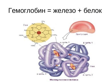 Картинка с сайта blog.gemobin,ru