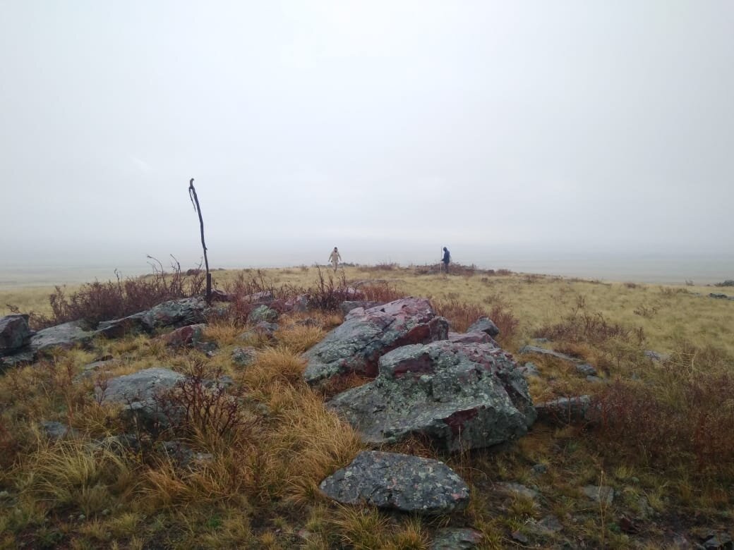 Погода в каменном курганской