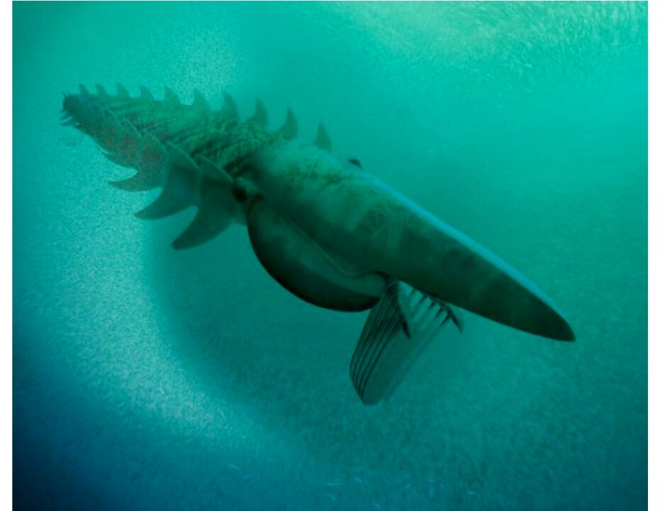 Аналогичный монстр - Аномолакрид имел два комплекта ног