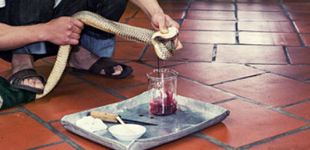 фото proza.ru/2013/04/20/102