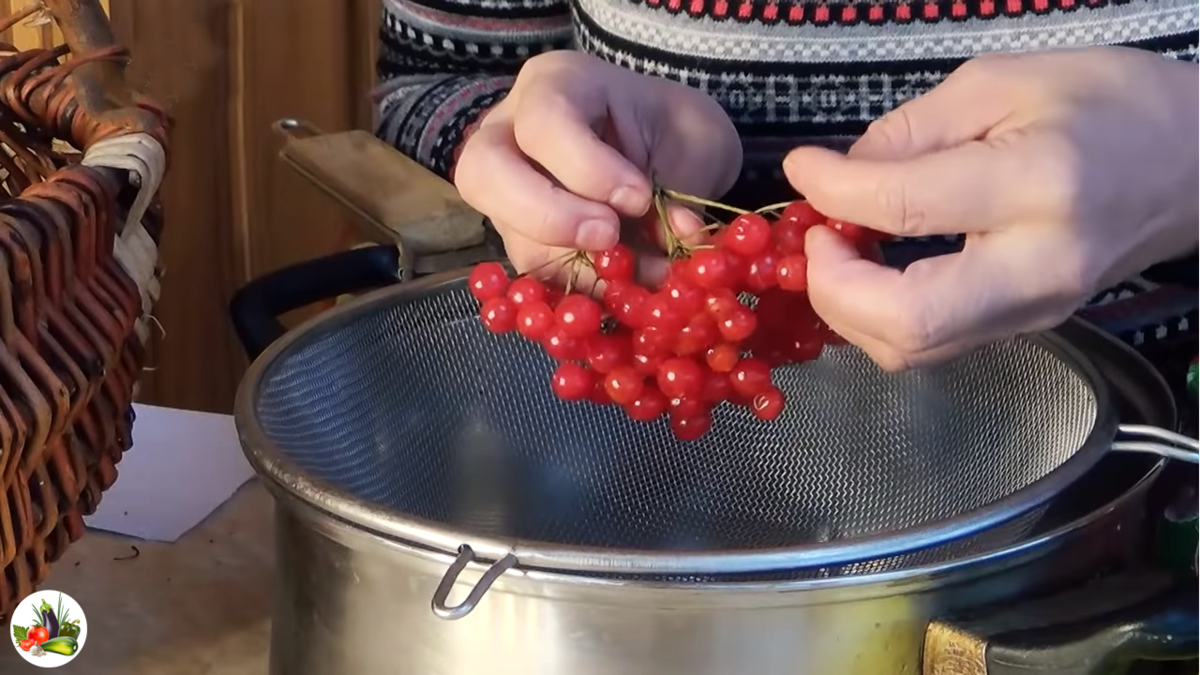 🍒Полезная ягода для здоровья Калина красная. Заготовки на зиму | Урожайная  грядка ❀ | Дзен