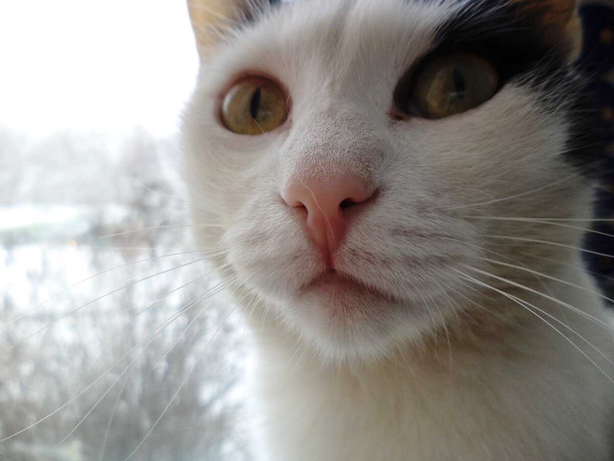 Синги: "Я тайные места не выдам!"