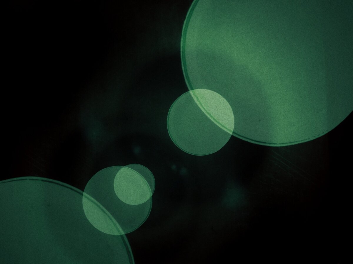 Фото – Rolegur