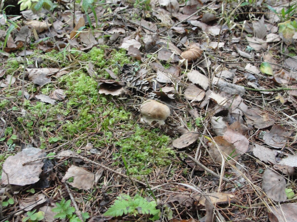 Совсем молодой!