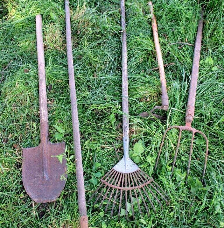 Дачные помощники: 12 самых нужных инструментов для ведения огорода