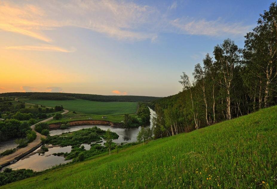 Глав природа. Красивая меча Тульская область. Природа Тулы и Тульской области. Красивая меча Тула. Природа Тульской Тульской области-.