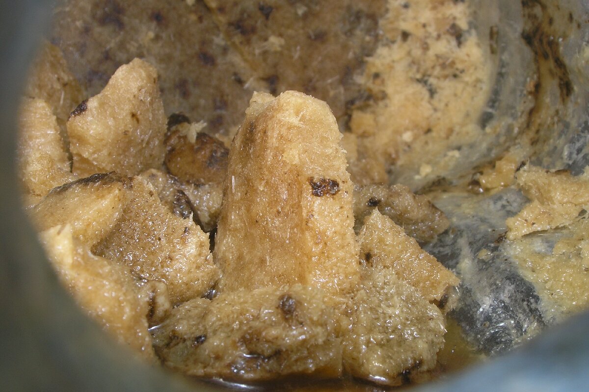 где производят натуральную янтарную кислоту | Сергей Петров | Дзен