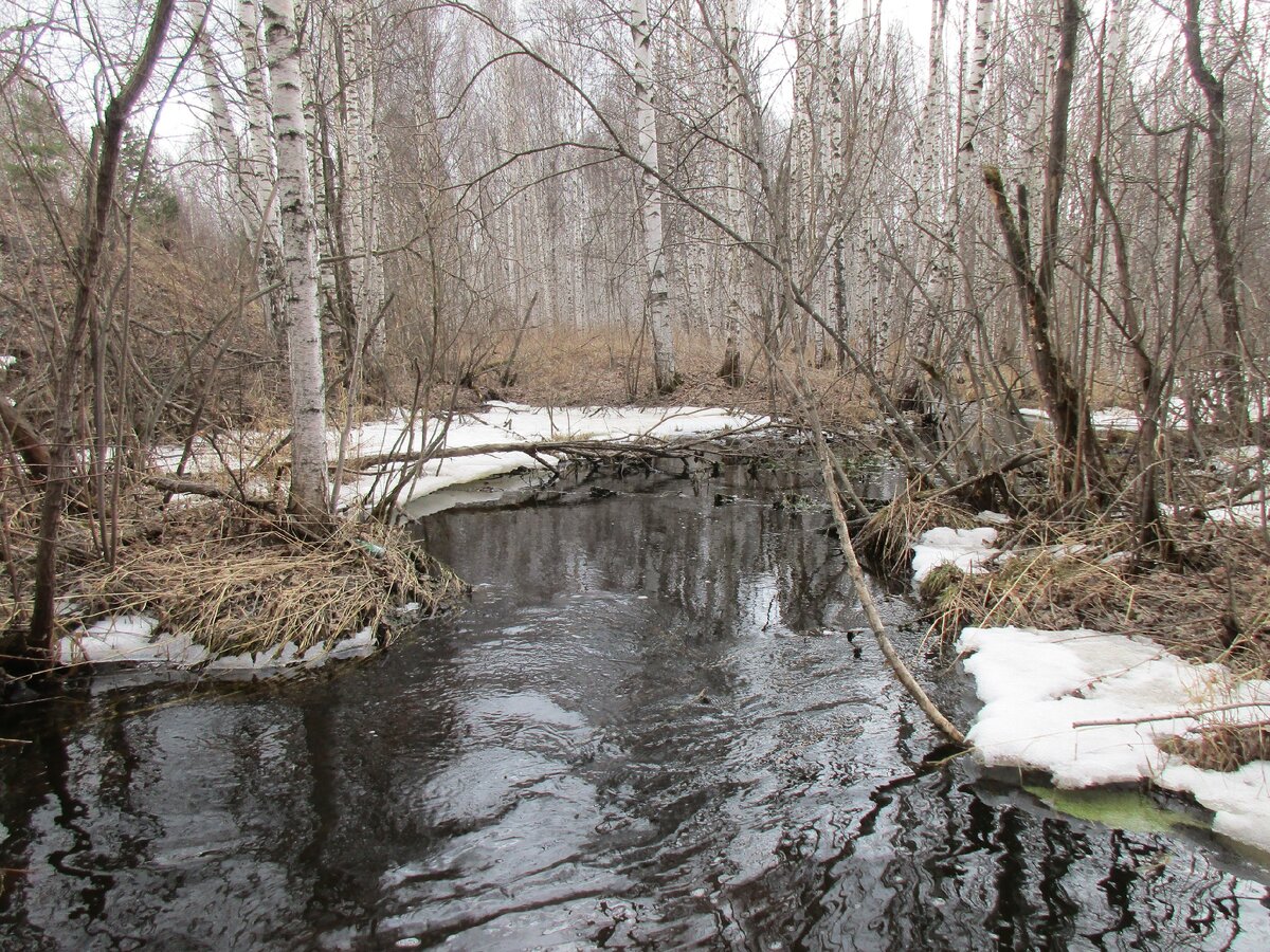 весенний поток. река ручей. поток весной. поток весной. ручей по оврагу.