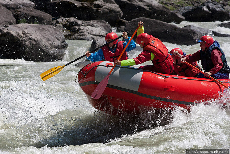 Сплав на рафтах. Республика Алтай рафтинг. Рафт для сплава. Кардон Республика Алтай рафтинг