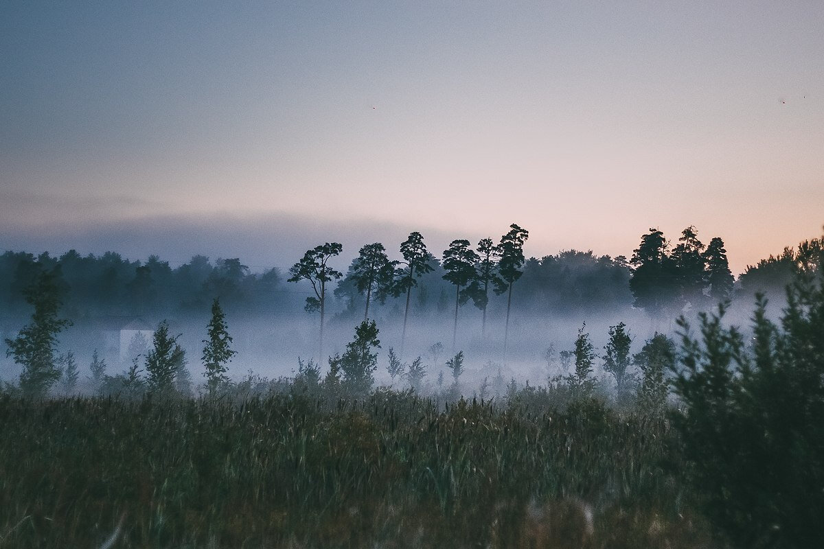 Причины аллергии...в нашей психологии