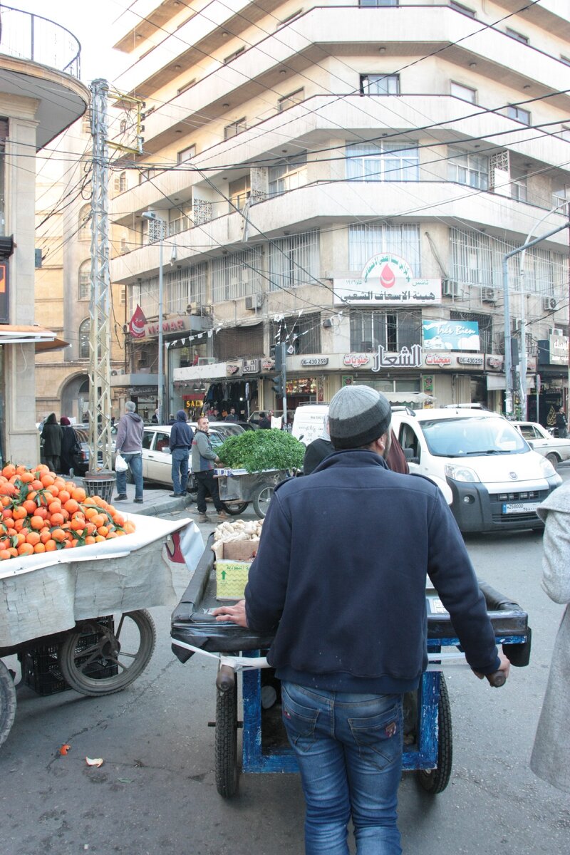 Ближний восток. Ливан.Траблос.