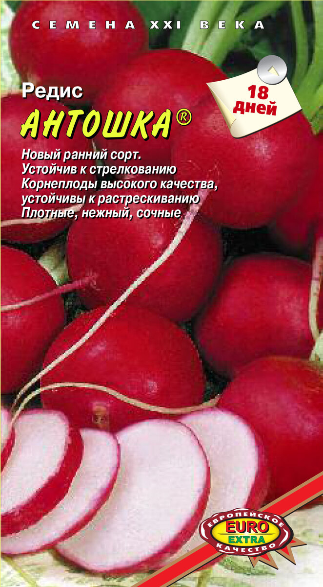 Редис алекс f1, уральский дачник. Редис чупа чупс. Редис алешка f1. Редис алешка. Редис пучок.