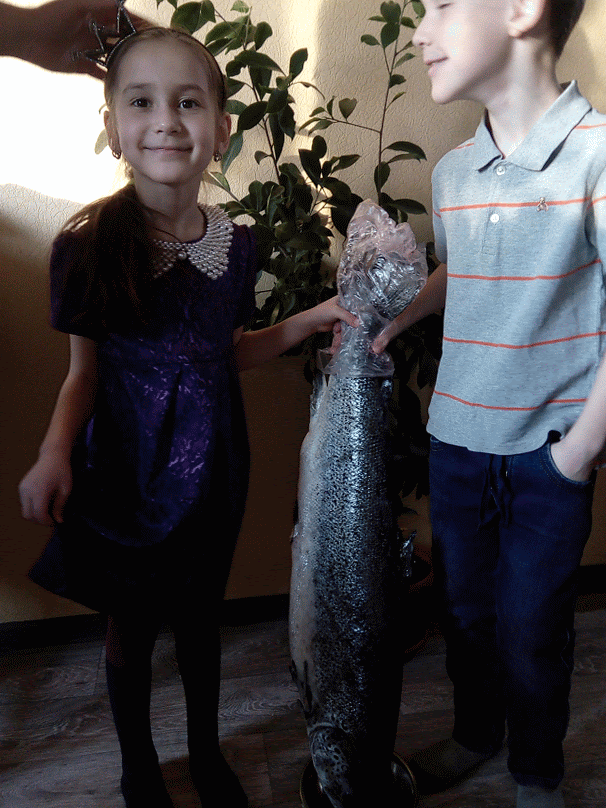 котейка внизу шибко беспокоится.