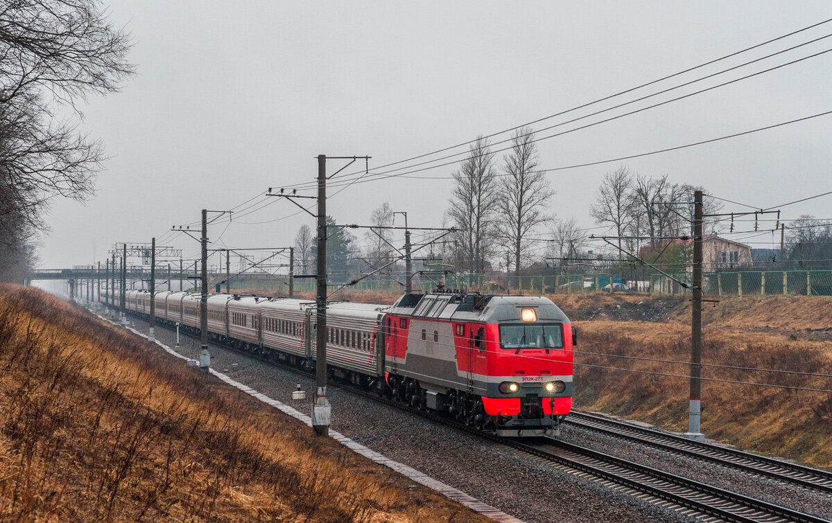 поезд феодосия петербург билеты. 162 поезд феодосия. билет на поезд.