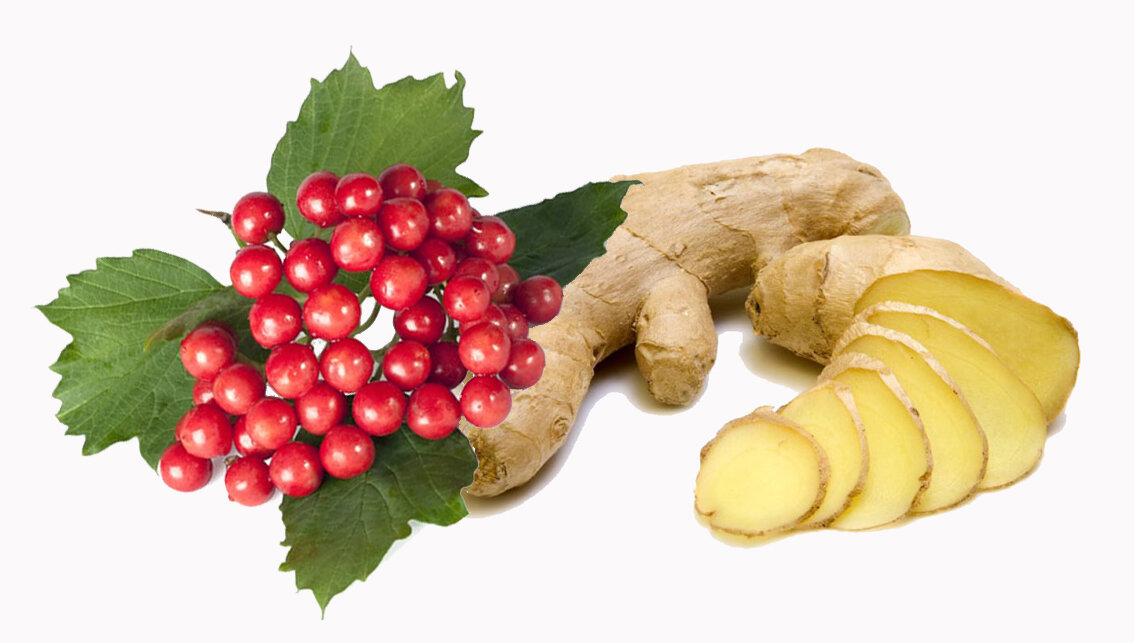 Имбирный чай для защиты иммунитета