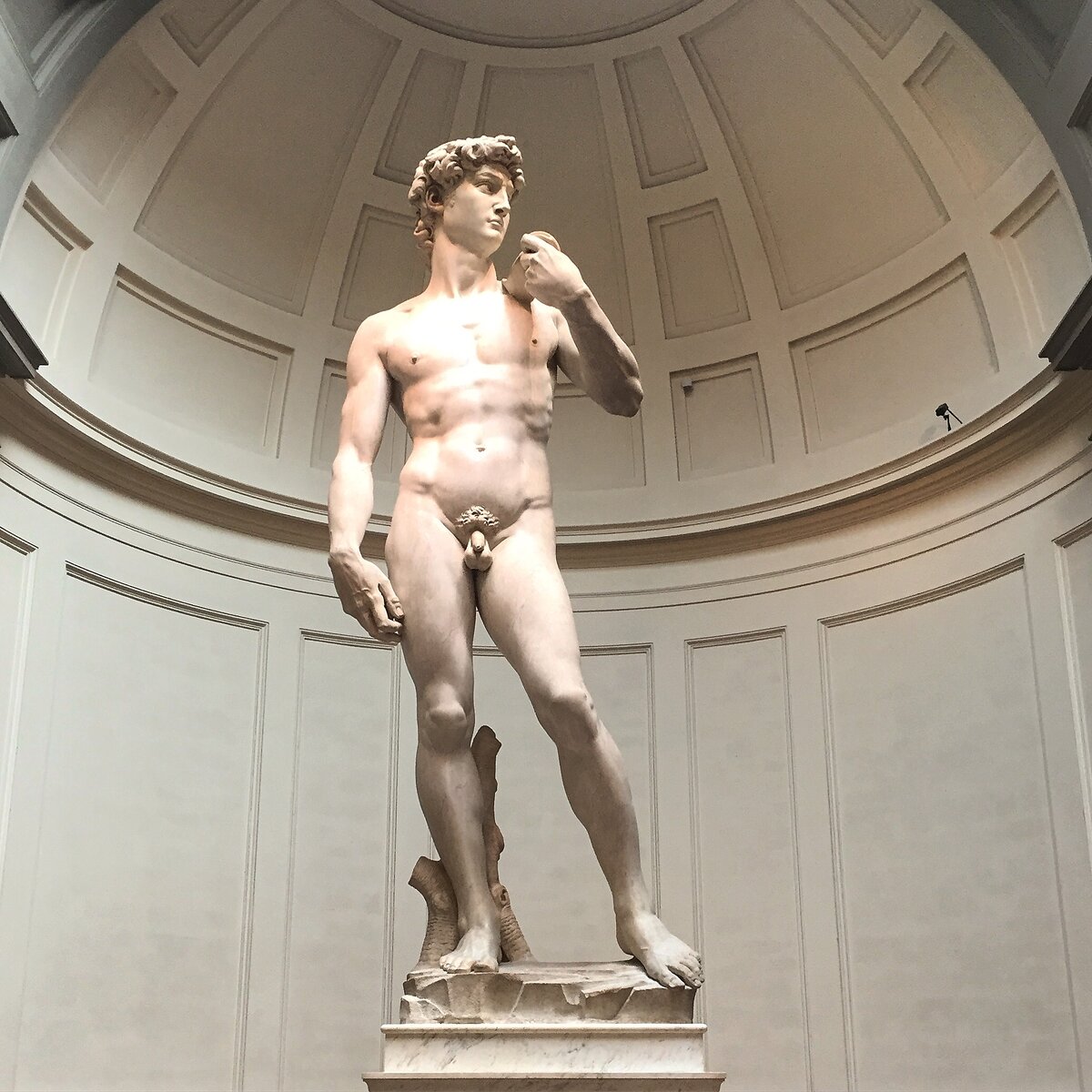 Фото автора канала