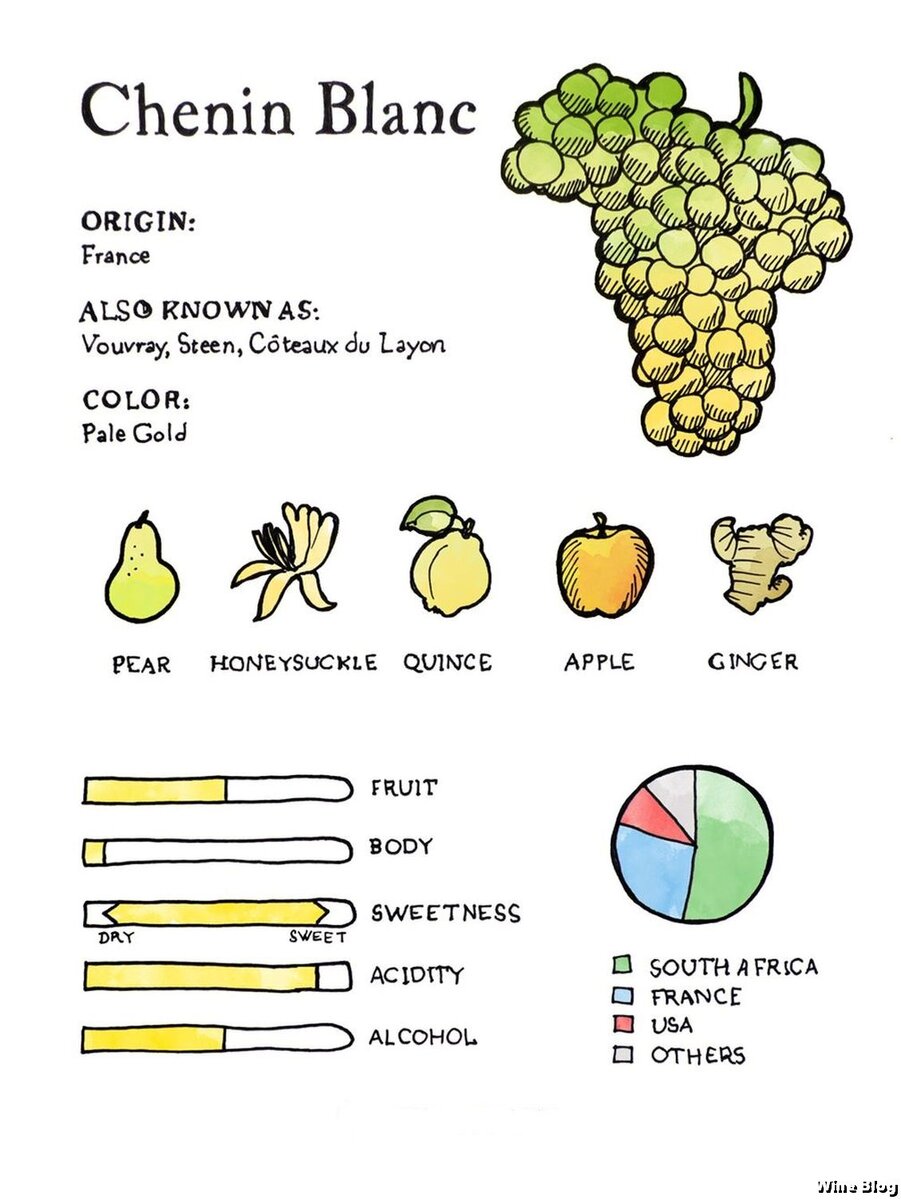 фото взято у Winefolly