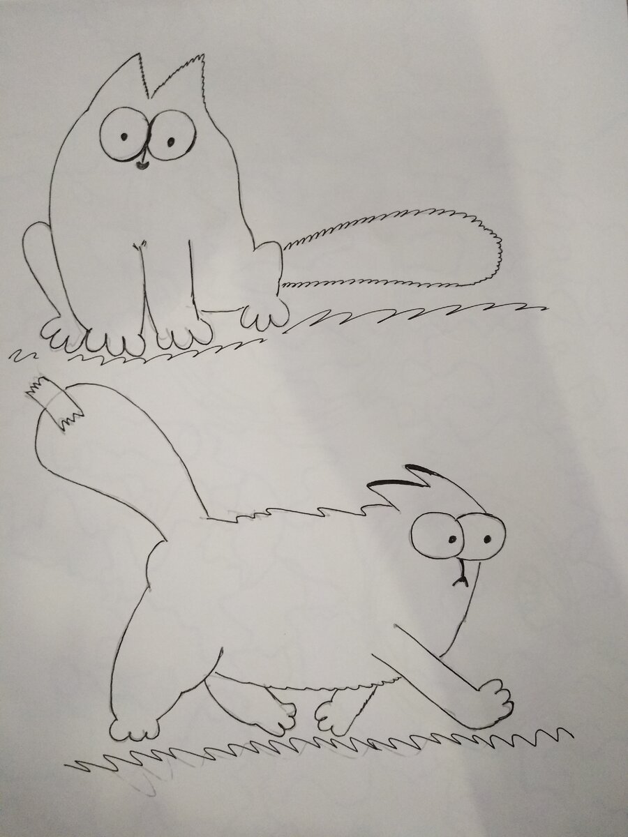 рисунки автора