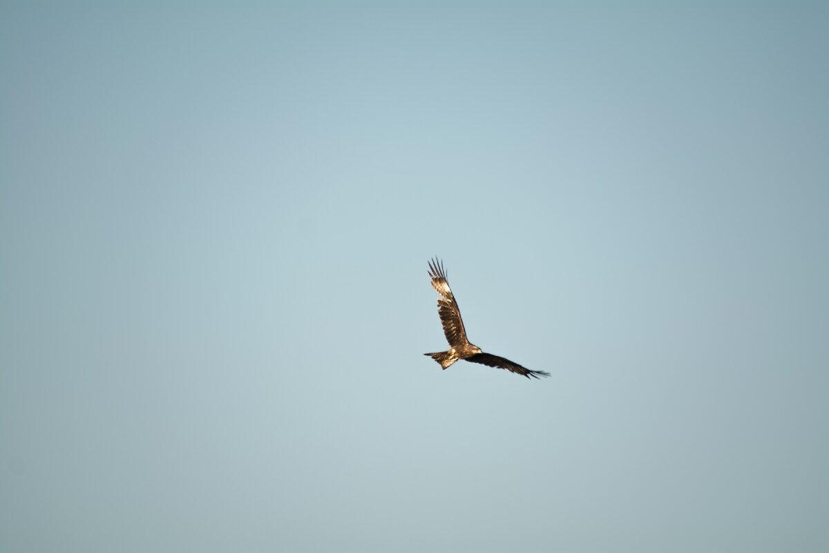 Из личных архивов