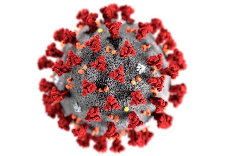 источник фото: Я.Картинки