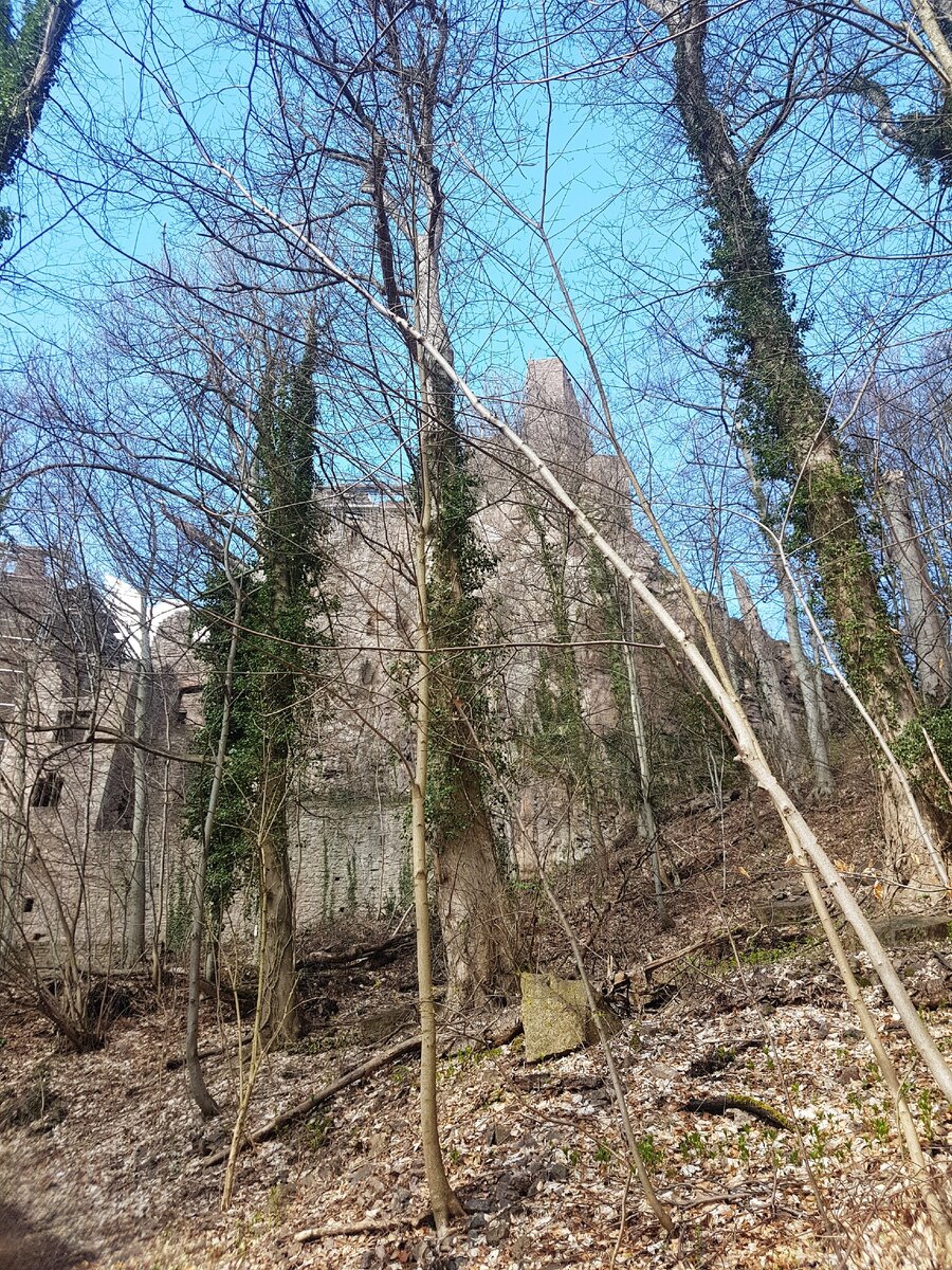 Баден-Баден, Замок Хоэнбаден (Старый Замок), 19 марта 2019