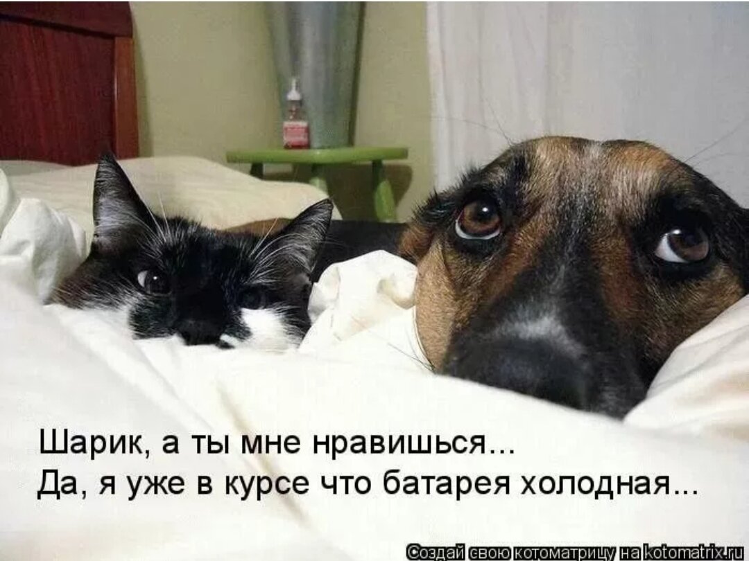 фото из открытого источника интернет 