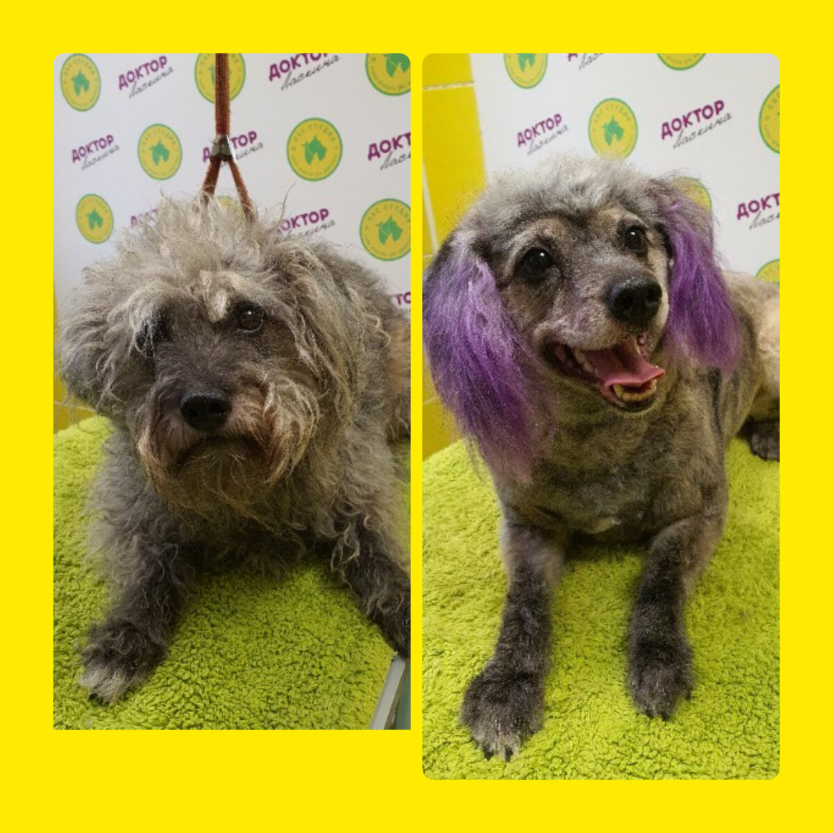 Моя милая девочка