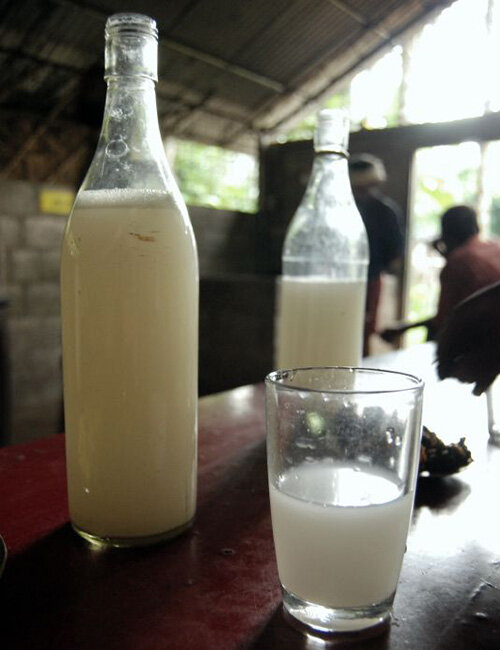 Фото: Magnus Manske/Wikipedia