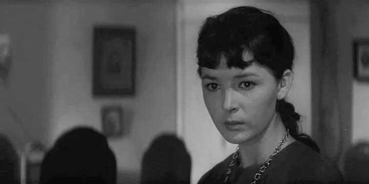 Взято из открытых источников 