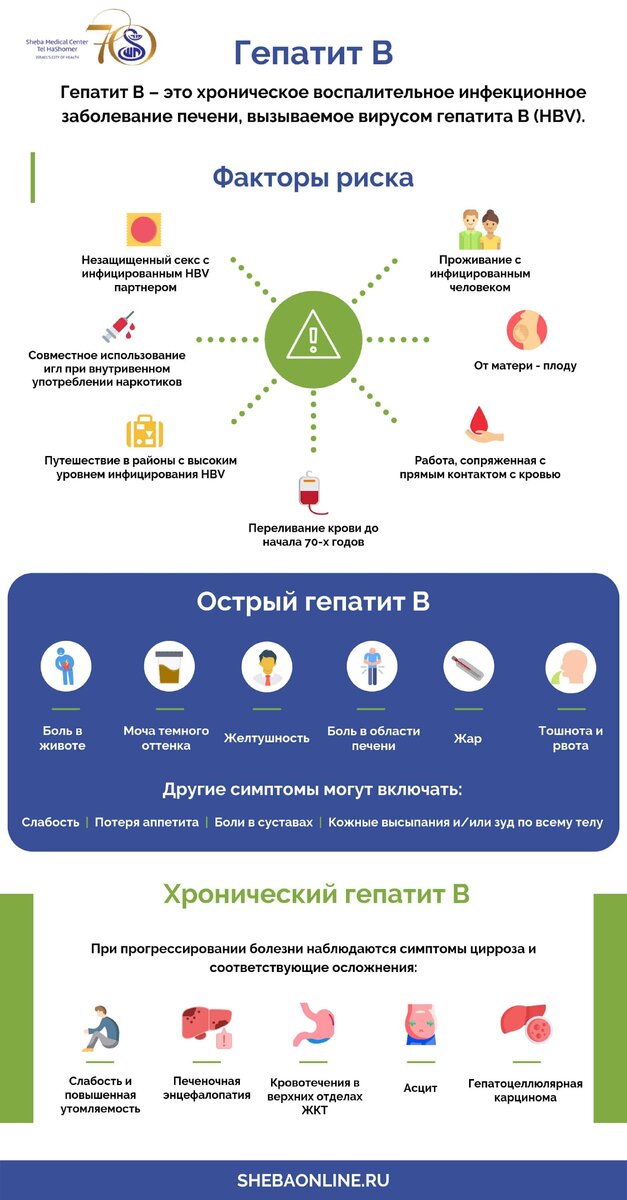 Источник shebaonline.ru