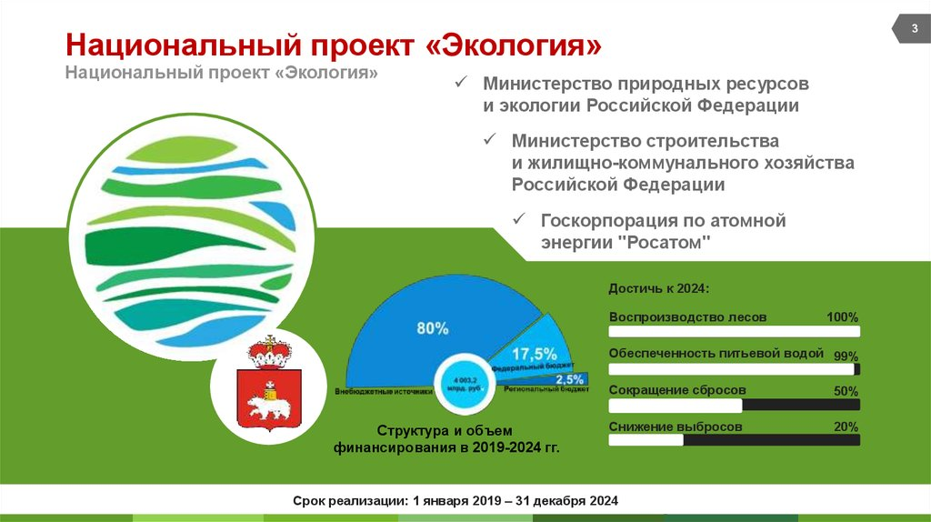 Проблемы при реализации национальных проектов в регионах - 85 фото