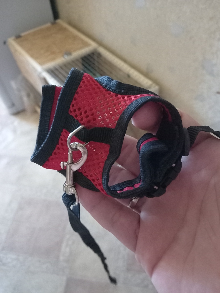 Вот так выглядит наша шлейка