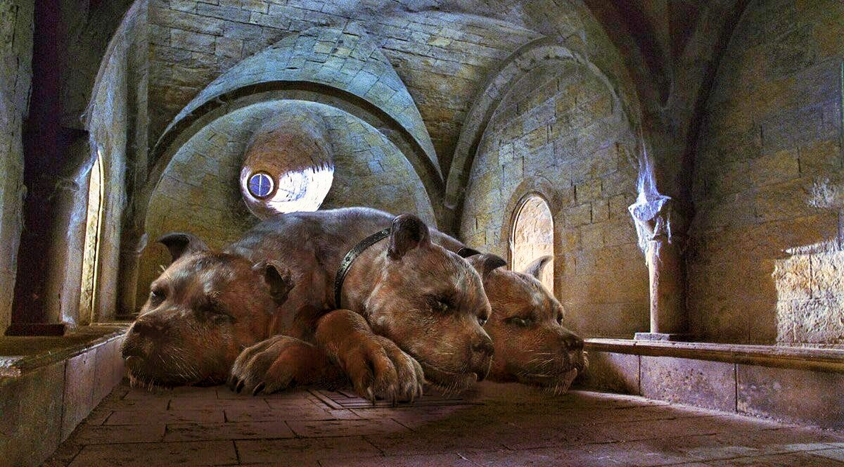 Кадр из фильма о мальчике-волшебнике