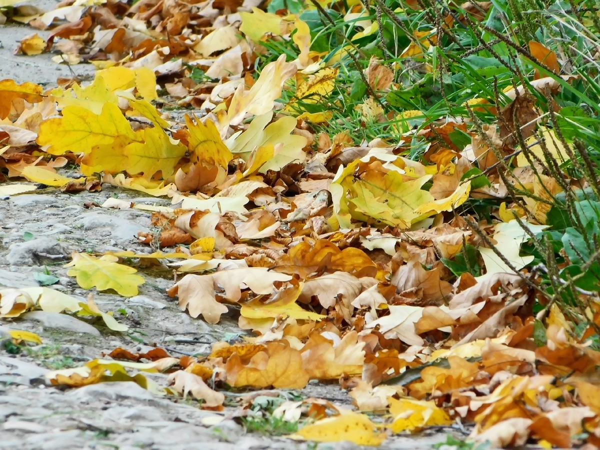 Личное фото